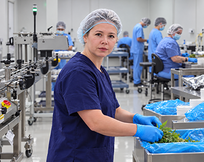 GMP Manufacturing