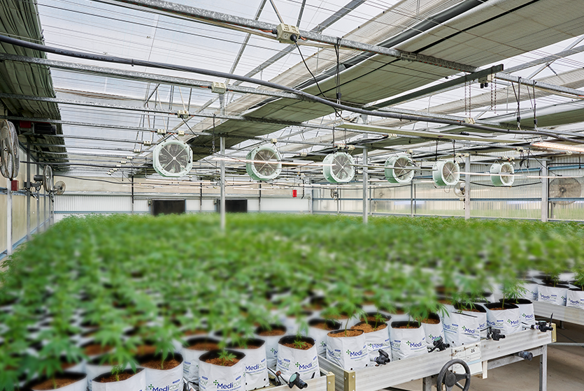Advanced Growing Systems