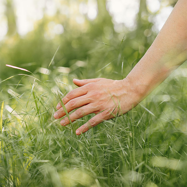 hand to nature